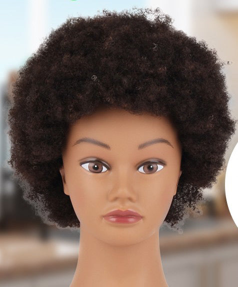 Afro Mannequin Head with 100% Human Hair, Cosmetology Afro Hair